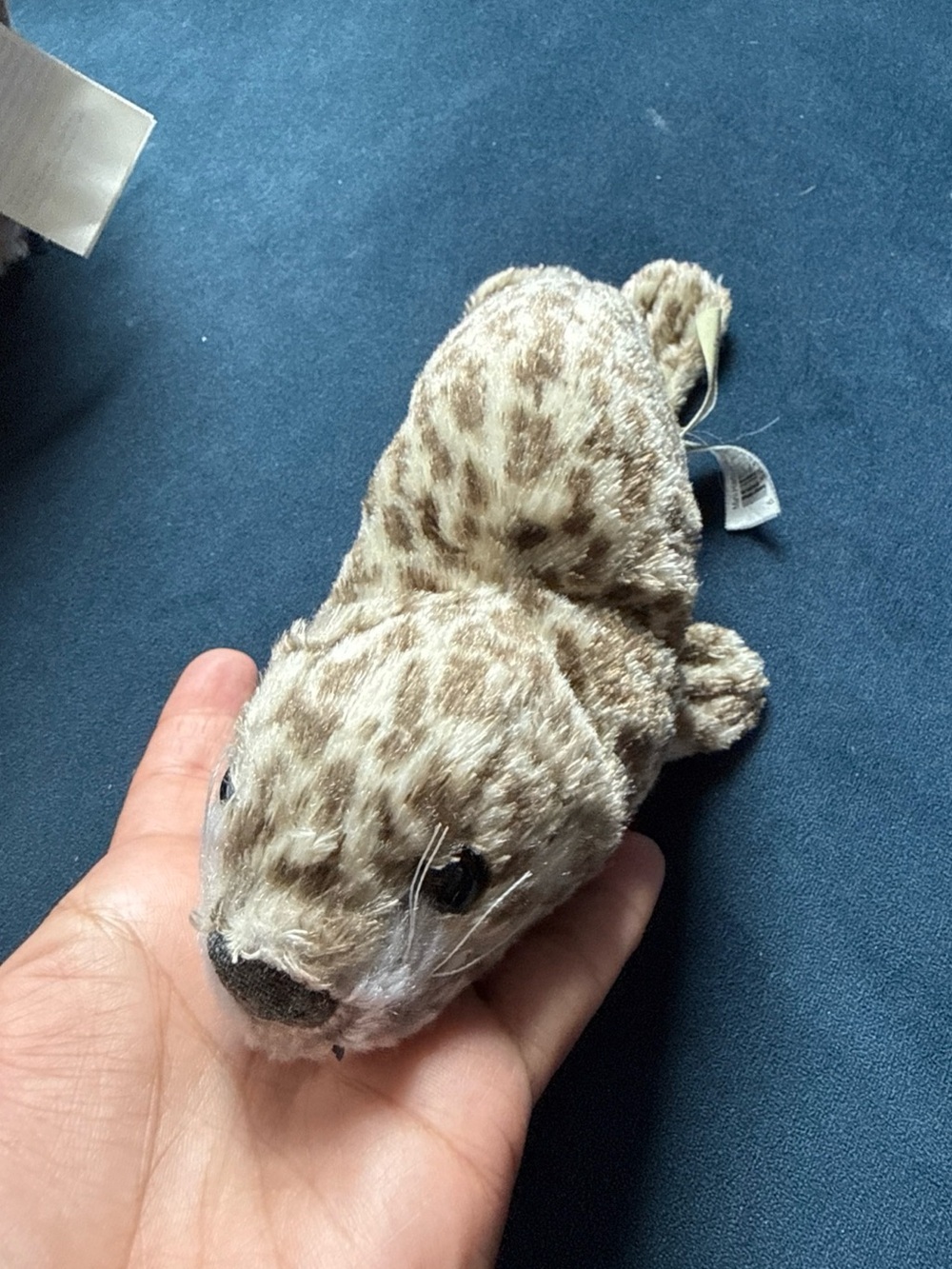 Folkmanis Puppets Harbor Seal Finger Puppet Folkmanis Mini Puppet Sea Animal VTG